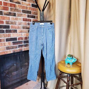 PacSun Mom Jean Blue Ribbed Denim Women Size 26